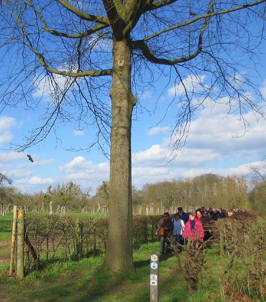 Winterwandeling op 2-3-2014 org. Armand en Judith Menten (3).JPG